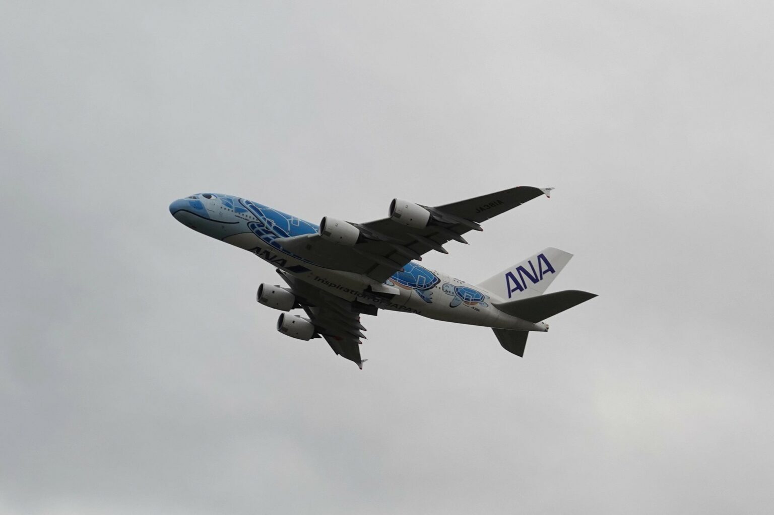 紙飛行機 型紙 ANA 全日空 ポケモンジェット - 航空機・ヘリコプター